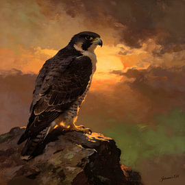 Raubvögel – Wanderfalke von Johannas Art Creations