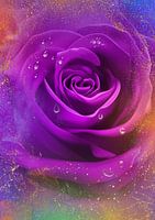The Mystery of the Purple Rose