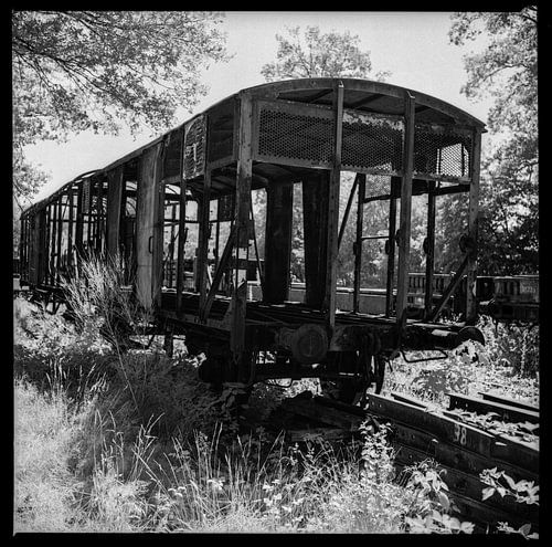 Train abandonné sur Arnold van Rooij