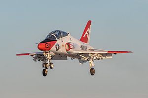 McDonnell Douglas (jetzt Boeing) T-45 Goshawk.