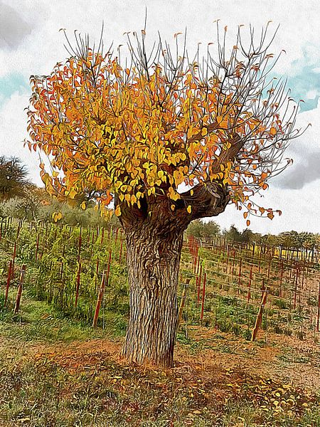 The Autumn Guardian by Dorothy Berry-Lound
