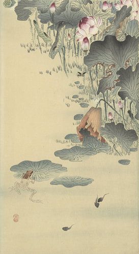 Ohara Koson, Frosch und Kaulquappen