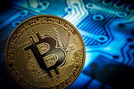 Bitcoin sur Lex van Lieshout
