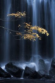 Yellow Autumn by Yuki Yatsushima