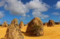 Pinnacles Desert in West-Australië van Ines Porada thumbnail