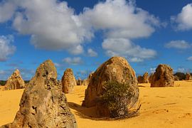 Pinnacles Desert in West-Australië van Ines Porada