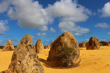Pinnacles Desert in West-Australië van Ines Porada
