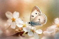 Butterfly - painterly -2 by Joriali photography and paintings thumbnail