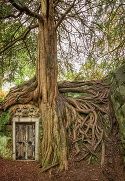 mit Elfenaugen #66 von Lars van de Goor