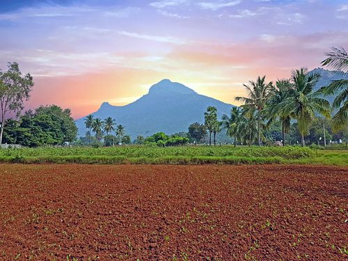 Der heilige Berg Arunachala in Indien bei Sonnenuntergang von Eye on You
