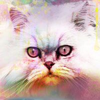 Kat, color, art, eyes