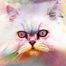 Kat, color, art, eyes by Debby Loohuis