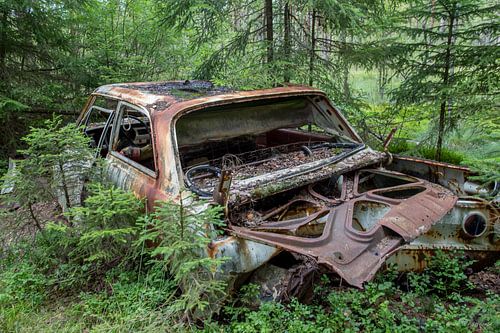 Car cemetery in forest in Ryd, Sweden