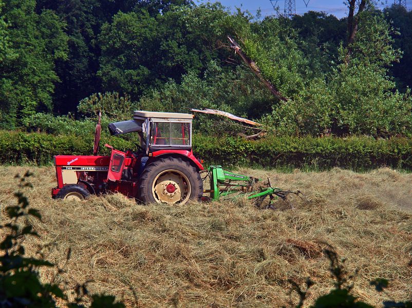 Draaiende hooi van Edgar Schermaul