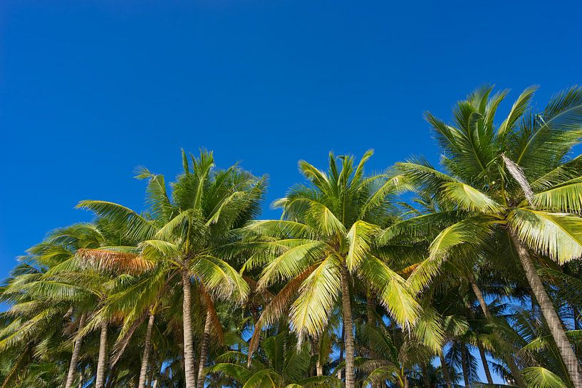BORACAY 07 by Tom Uhlenberg