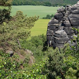 Bäume, Felsen und die Festung Königstein von Adriana Müller