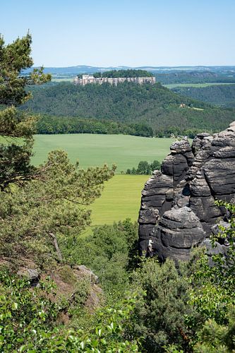 Bomen, rotsen en de vesting Königstein