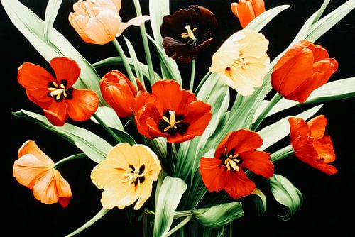 Colourful tulips on a black background
