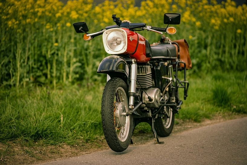 Oldtimer MZ ES 250/2 van Johnny Flash