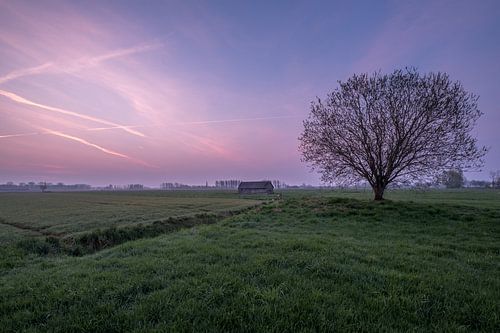 Weiland met boom en schuur bij zonsopkomst 06
