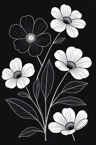Minimalistische weiße Blumenzeichnung auf schwarzem Hintergrund – botanische Illustration