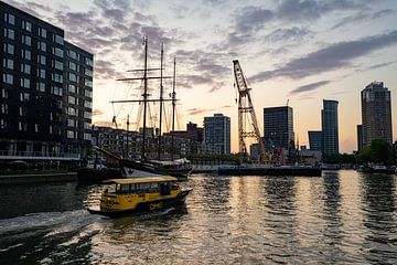 Leuvehaven Rotterdam