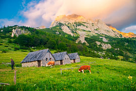 Sutjeska National Park, Bosnia and Herzegovina – the wild nature of the Balkans by Antwan Janssen