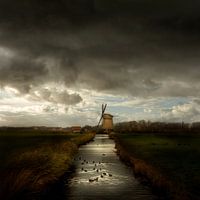 Bosmolen in Egmond - Niederländische Meister