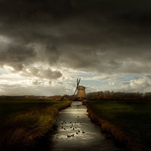 Bosmolen in Egmond - Nederlandse meesters van Keesnan Dogger Fotografie