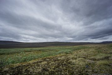 IJsland - Donkere sfeer bij eenzaam vlak landschap van vulkanisch o van adventure-photos