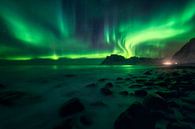 Das Nordlicht in Norwegen von Sven Broeckx Miniaturansicht