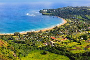 Helicopter view over Hanalei Baai, Kauai, Hawaii van Henk Meijer Photography