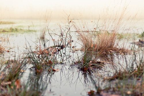 Marais sur Leonie Wagenaar