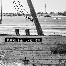 Scheepswrak Marselhesa Algarve Portugal van Mario Brussé Fotografie