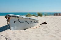 The boat at Cape North