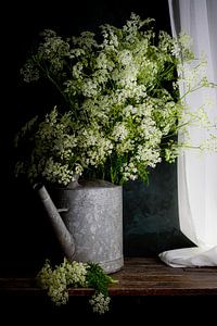 Nature morte Cutthroat