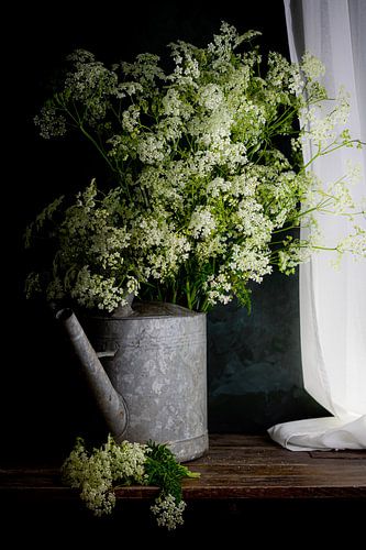 Stilleven Fluitekruid