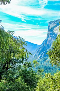 Ausblick auf El Capitan von Barbara Riedel