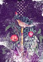 Pompei bird