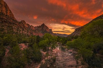 The Watchman von Loris Photography