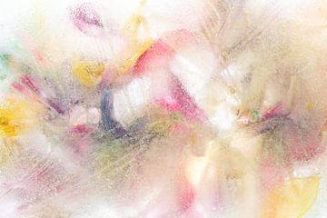 Kleurrijk Abstract | Bloemen Foto | Fine Art