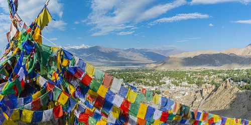 Panorama over Leh