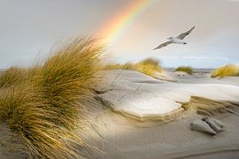 Beach of Terschelling by Gerard Wielenga