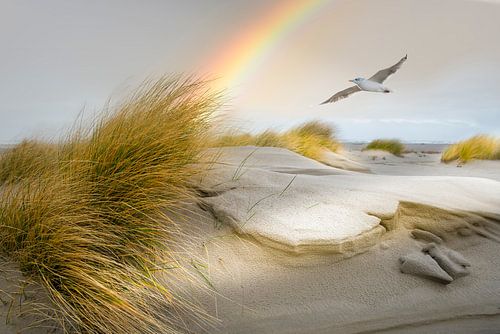 Strand van Terschelling van Gerard Wielenga