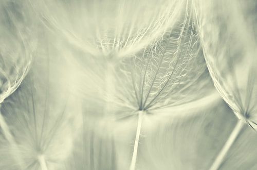 Jack go to bed at noon