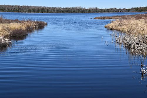 The blue waters of the lake in spring