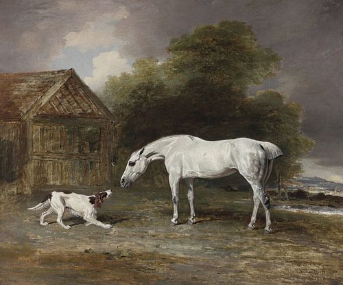 Le chien et le cheval, Ben Marshall