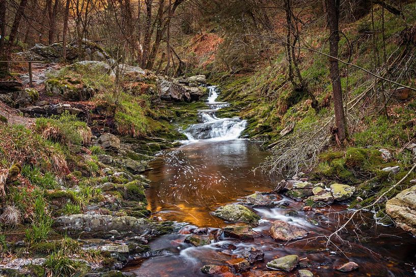 Mountain river La Hoëgne in the Belgian Ardennes by Rob Boon