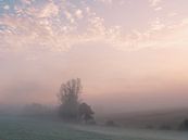 November morning 3 by Max Schiefele thumbnail