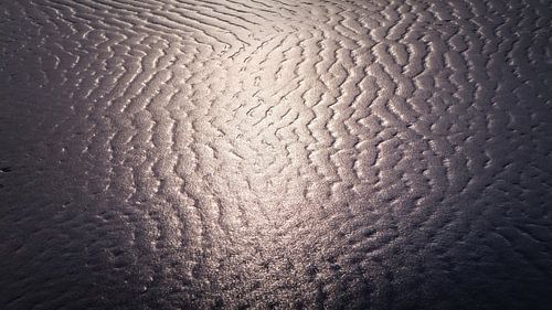 Spotlight op het zand